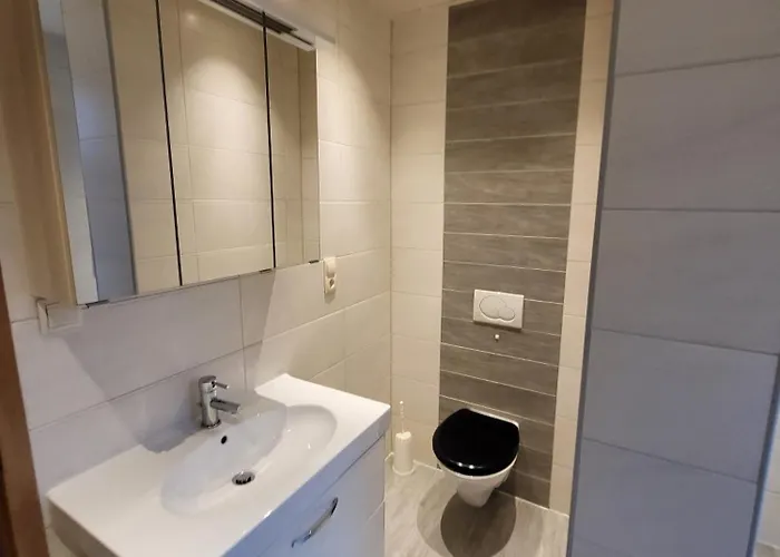 Neuboerger Wellness 度假居 *